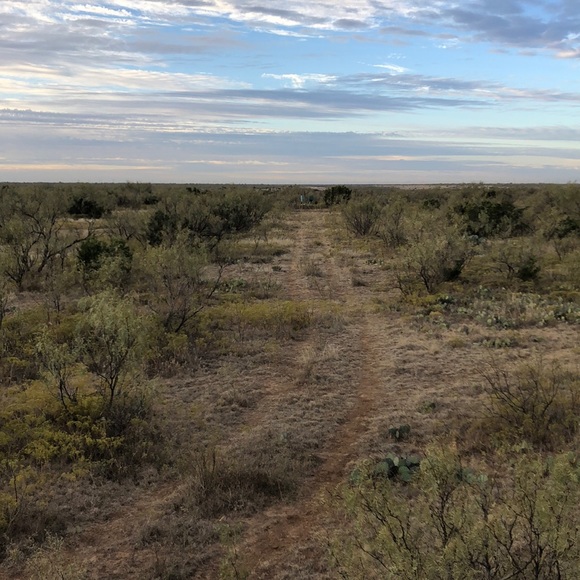 Meet your Posher, Sid - Picture 1 of 1